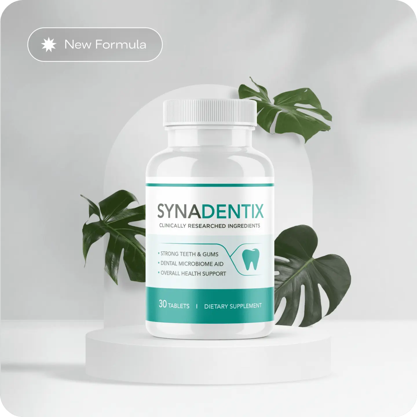 Synadentix Natural Dental & Gum Support